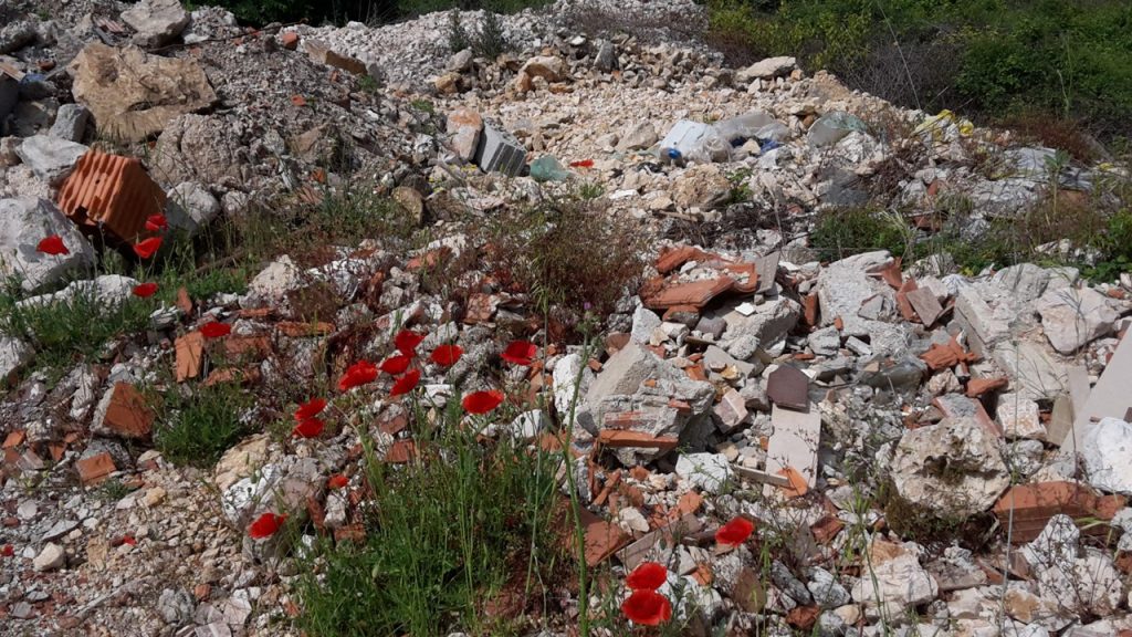 Smeti na otoku Pašman in vmes rdeči cvetovi  