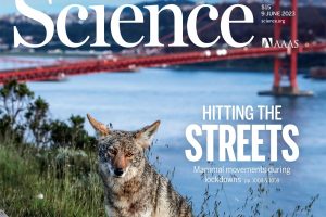 Science-naslovna-fvo