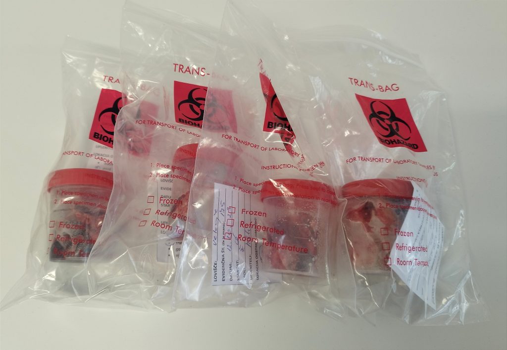 Zbrani vzorci za določitev prehranskih preferenc divjega prašiča v povezavi z ritjem shranjeni plastičnih posodicah in plastičnih vrečkah, globoko zamrznjeni