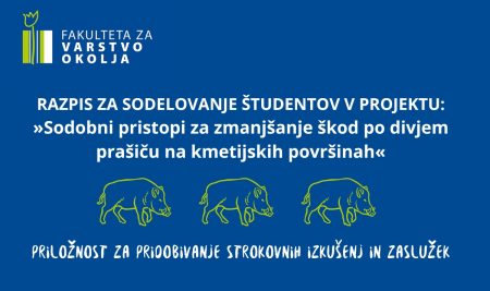 Projektno delo – priložnost za pridobivanje strokovnih izkušenj in zaslužek