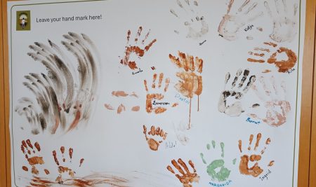 Prvo leto delovanja projekta CURIOSOIL