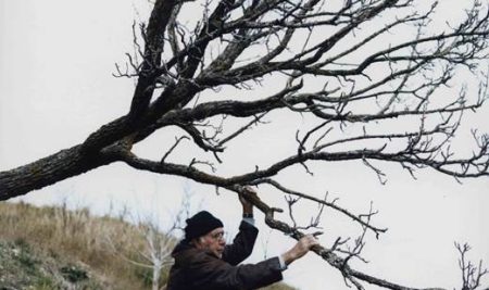 Sadjarska dediščina na Slovenskem, predavanje Boštjana Godca ob razstavi Gregorja Božiča