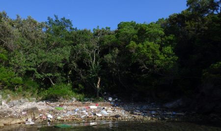 Objava v reviji Coasts