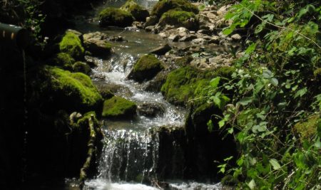 Objavi v reviji Pollutants