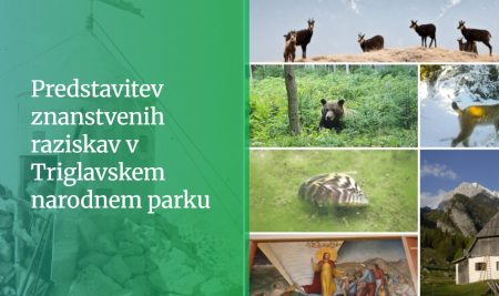 Predavanje: Raziskave severnega (alpskega) gamsa v Sloveniji in Evropi: vpliv okoljskih dejavnikov in medvrstnih odnosov