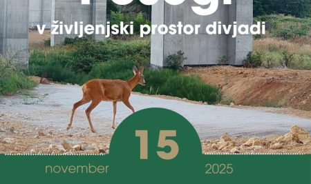 16. Slovenski lovski dan: Posegi v življenjski prostor divjadi