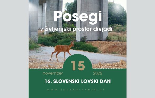 16. lovski dan
