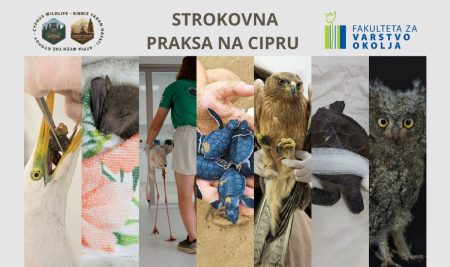 Priložnost za strokovno prakso na Cipru