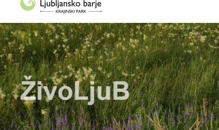 Prosto delovno mesto Naravovarstveni sodelavec IV