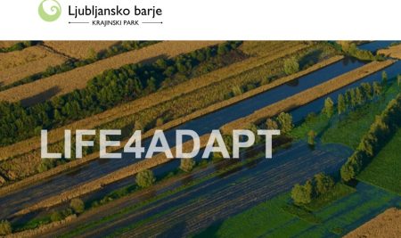 Prosto delovno mesto Naravovarstveni svetovalec