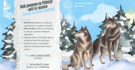 Vabilo_Mislinja_volk