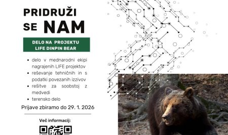 Priložnost za zaposlitev – LIFE DINPIN BEAR 
