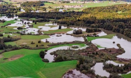 Višji naravovarstveni svetovalec