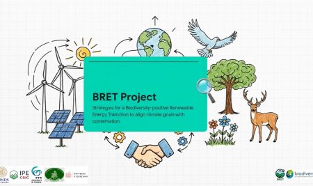Prosto delovno mesto na BF, Raziskovalec po posebni mednarodni pogodbi