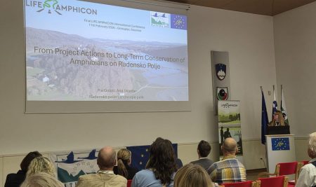 Zaključna konferenca LIFE AMPHICON: rezultati in dobre prakse za ohranjanje dvoživk