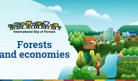 International Day of Forests 2026 Focuses on “Forests and Economy”