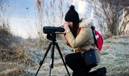 Razpis za delovno mesto varstvenega ornitologa (m/ž)