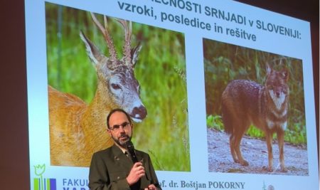 O upadanju številčnosti srnjadi predaval dekan FVO prof. dr. Boštjan Pokorny