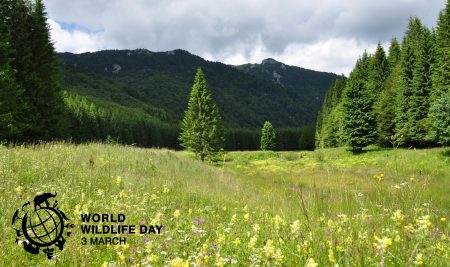 March 3: World Wildlife Day