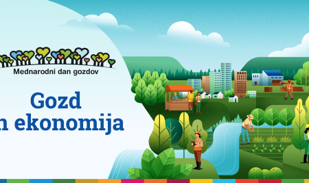 Mednarodni dan gozdov 2026 v znamenju teme »Gozd in ekonomija«