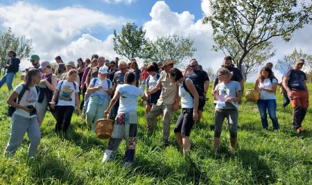 FesDivjal 2026: Festival divje hrane in trajnostnih praks